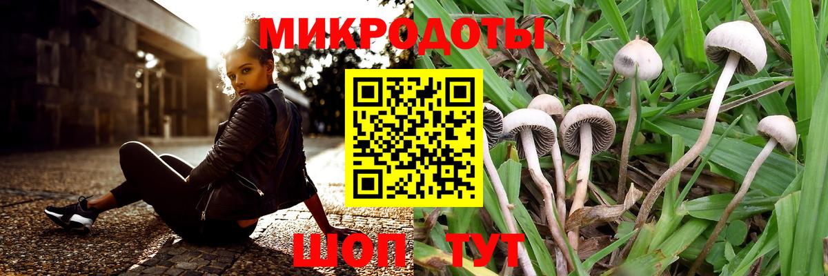 Псилоцибиновые грибы Magic Shrooms Благодарный