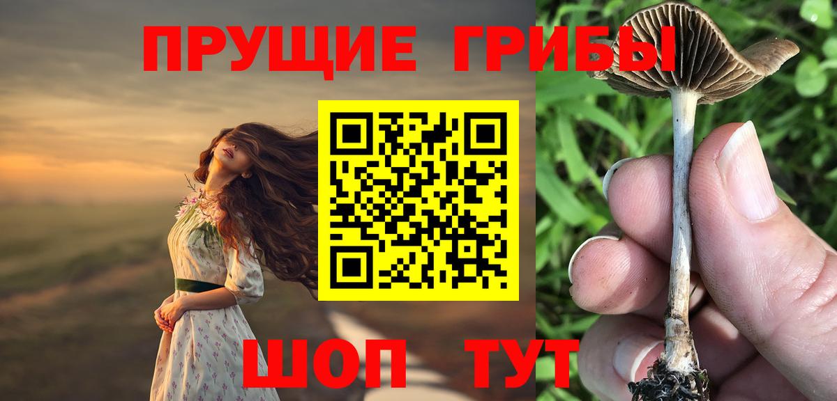 Псилоцибиновые грибы мухоморы  Вход с VPN  Благодарный 